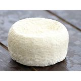 Cacio ricotta cheese