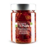 Chili peppers from Salento