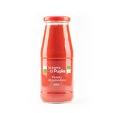 Sweet tomato puree Fiaschetto